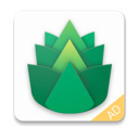 绿叶,Green