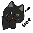 黑猫,Heimao